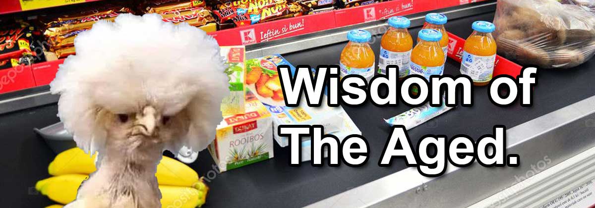 Could have - A lovely grocery store meeting.